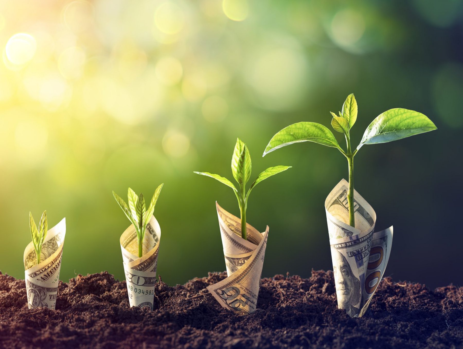 Sustainability Transition - Where Leaders Master Sustainable Futures